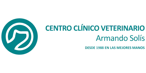 ARMANDO SOLIS Logo Principal 1